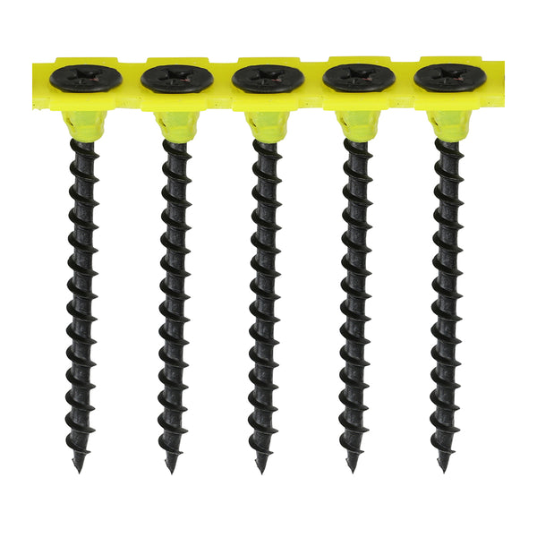 TIMCO Collated Drywall Coarse Thread Bugle Head Black Screws