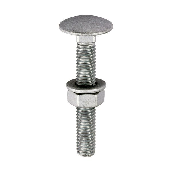 Carriage Bolt Exterior - SO