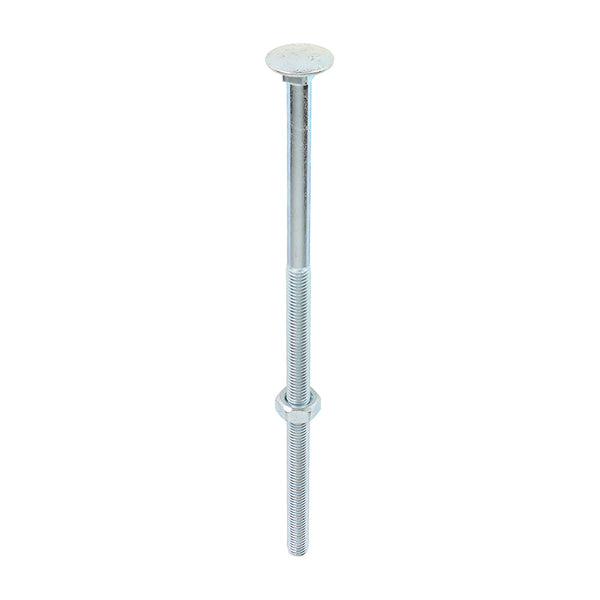 Carriage Bolt & Hex Nut - BZP