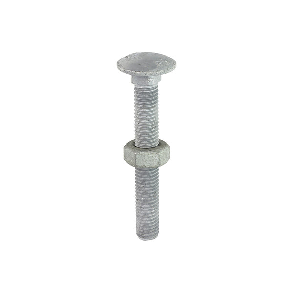 Carriage Bolt & Hex Nut - HDG