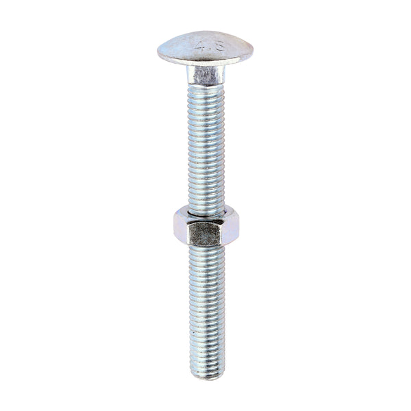 Carriage Bolt & Hex Nut - BZP