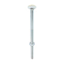 Carriage Bolt & Hex Nut - BZP