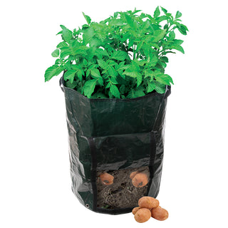 Silverline Potato Planting Bag