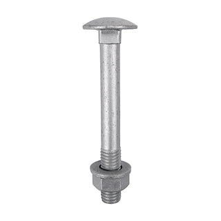 Carriage Bolt Exterior - SO