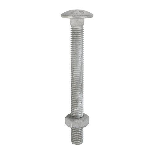 Carriage Bolt & Hex Nut - HDG - 0