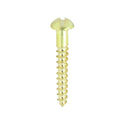 TIMCO Solid Brass Round Head Woodscrews