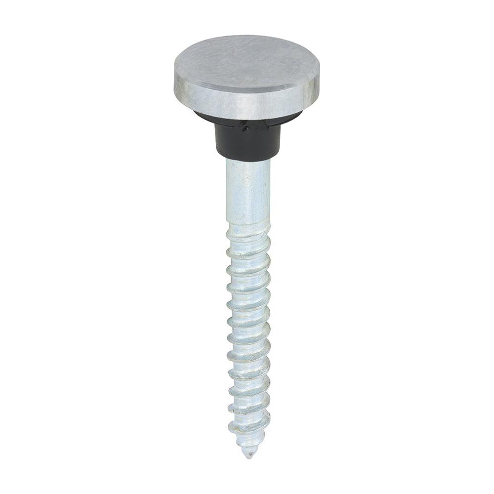 TIMCO Mirror Screws Flat Head Chrome