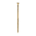 TIMCO Velocity Premium Multi-Use Countersunk Gold Woodscrews