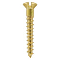 TIMCO Solid Brass Round Head Woodscrews