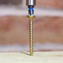 TIMCO C2 Strong-Fix Multi-Purpose Premium Countersunk Gold Woodscrews