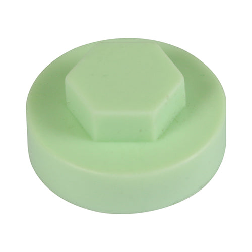 TIMCO Hex Head Cover Caps Eau de Nil