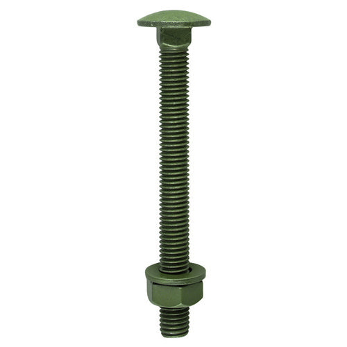 TIMCO Carriage Bolts DIN603 Hex Nuts & Form A Washers Green Exterior